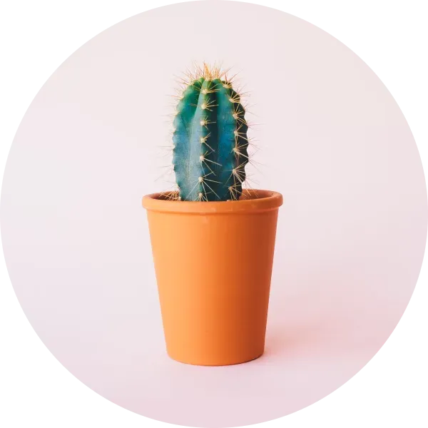 Recommendations Image